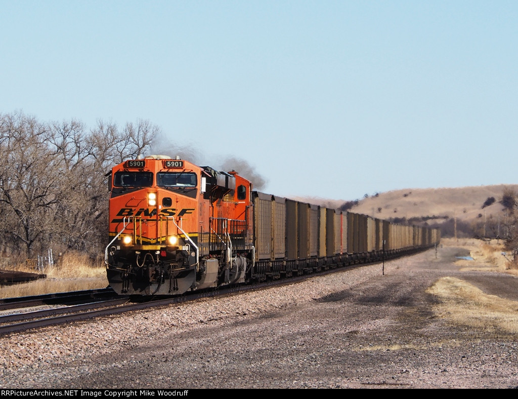 BNSF 5901